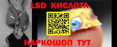 прущие грибы Кунгур
