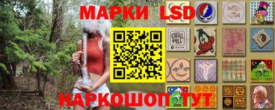 прущие грибы Кунгур