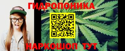 прущие грибы Кунгур