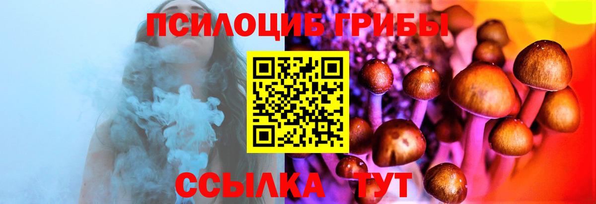 Галлюциногенные грибы мухоморы  где найти наркотики  Благовещенск  Псилоцибиновые грибы Psilocybe  Вход с VPN 